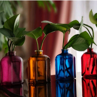 گلدان شیشه ای مخصوص قلمه گل طرح شش ظلعی سایز7 سانتی